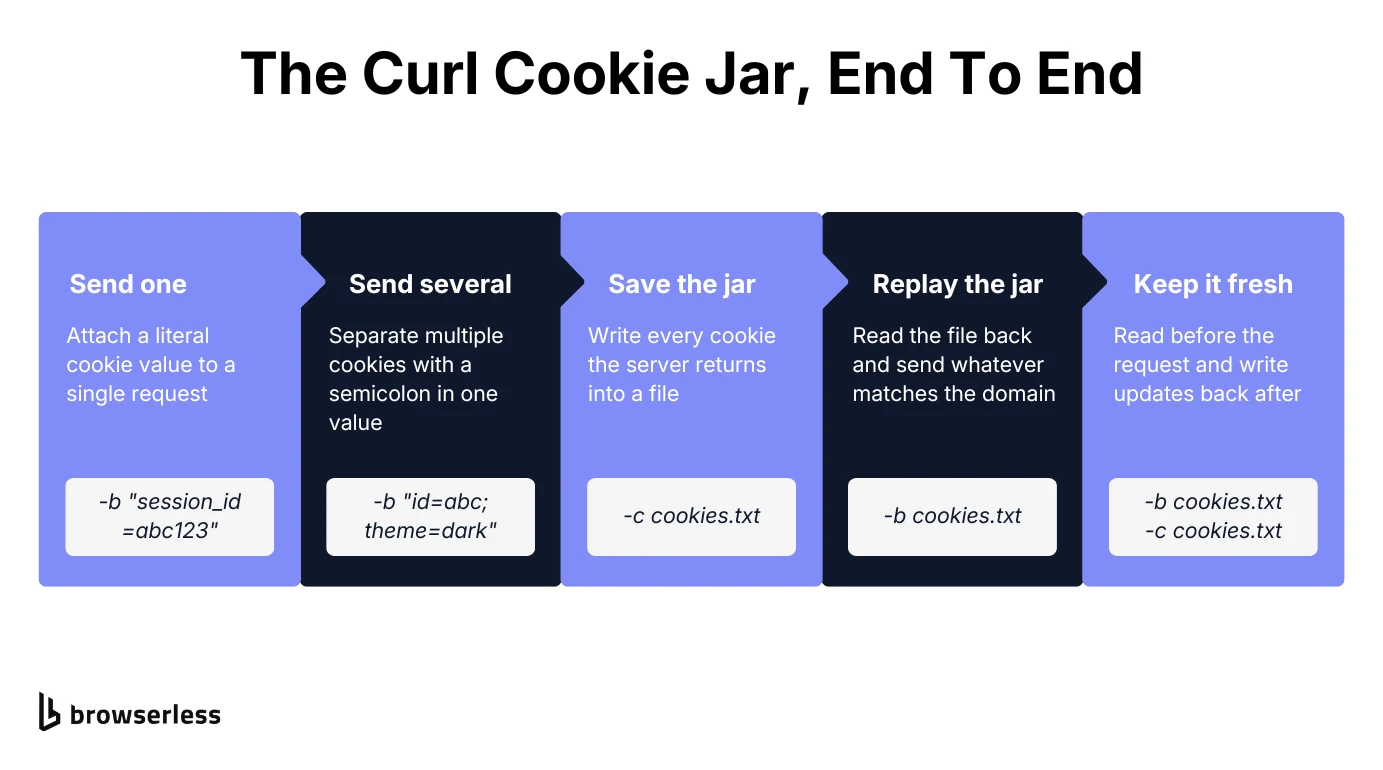 The curl cookie jar end to end: send one cookie with -b, send several separated by semicolons, save the jar with -c, replay it with -b, then pass both flags to read before the request and write updates back after